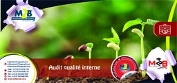 [SFO_B_QHSE_DD_EV_103] Audit qualité interne